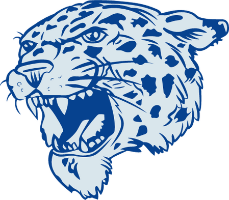 Lincoln Leopards